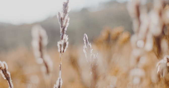 Subsequent Couples Psychotherapy