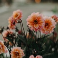 Laura Hetherington