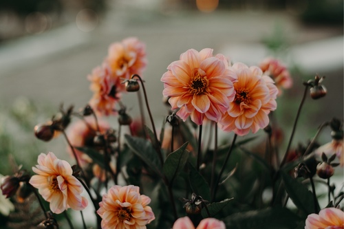 Laura Hetherington