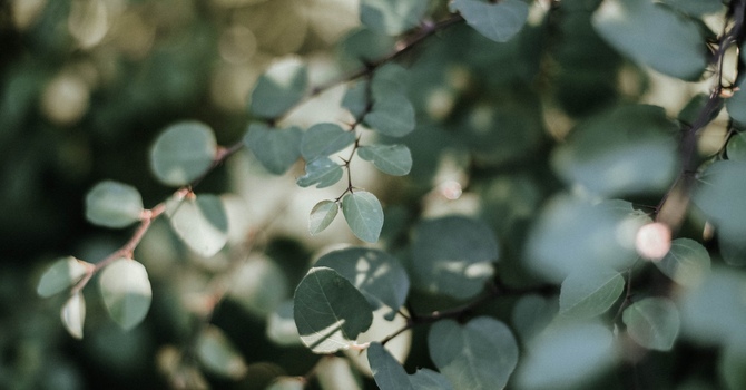 Subsequent Couples Psychotherapy